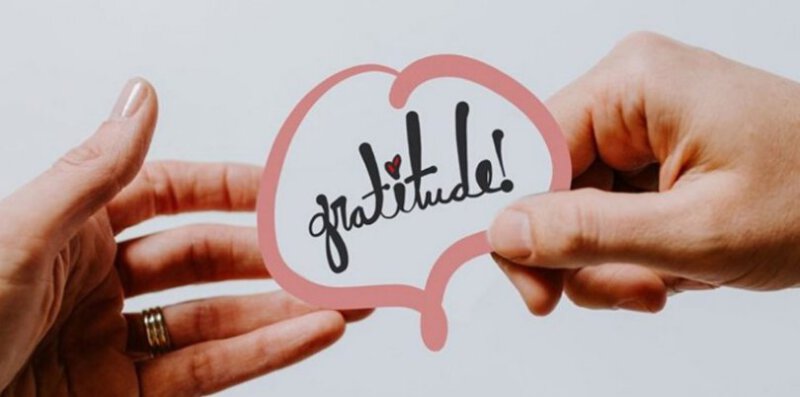 Hygienic Cladding For Gratitude’s Distribution Hub